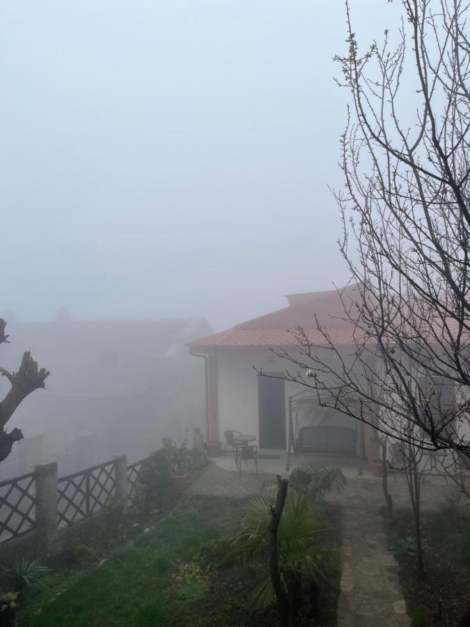Ani-A Apartment Sighnaghi Luaran gambar